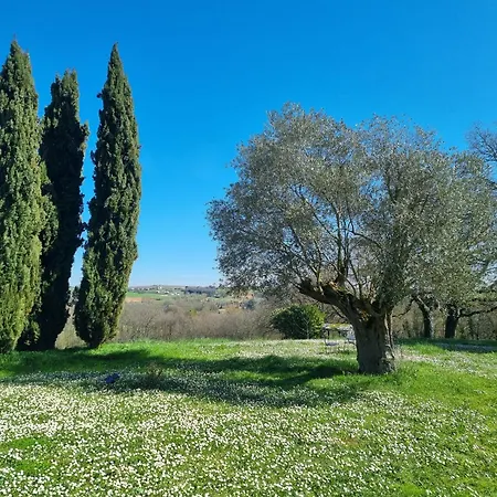 Hébergement de vacances Lbca Maison Campagnarde Casteljaloux
